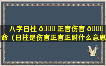 八字日柱 🍀 正官伤官 🐋 男命（日柱是伤官正官正财什么意思）